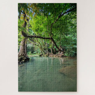 Waar bomen water ontmoeten legpuzzel