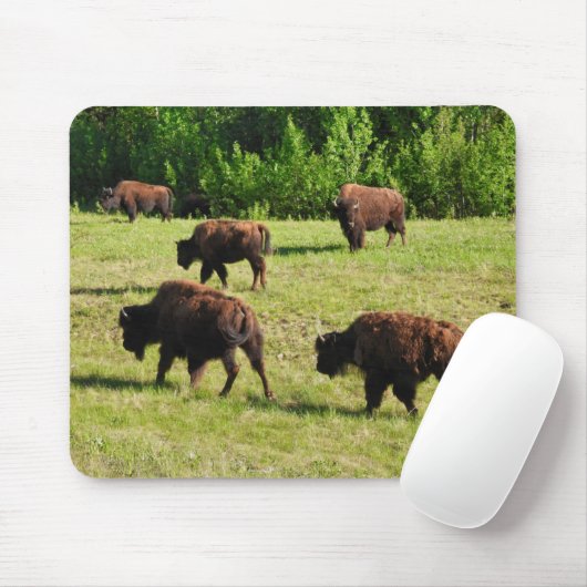 Waar de Bison Roam Muismat (Met muis)