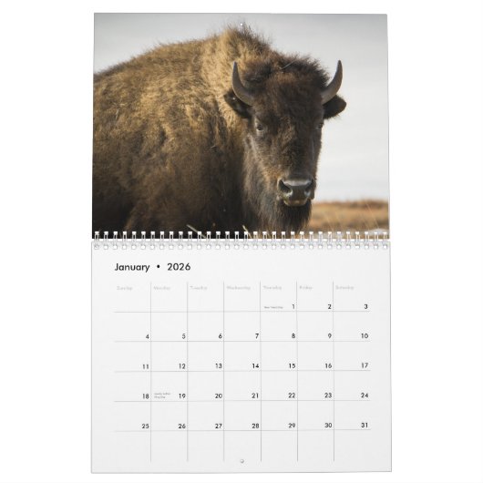 Waar de Buffalo Roam Kalender (Jan 2026)