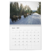 Waar de Buffalo Roam Kalender (Mar 2027)