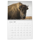 Waar de Buffalo Roam Kalender (Jan 2027)
