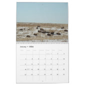Waar de Buffalo Roam Kalender (Jan 2026)