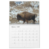 Waar de Buffalo Roam Kalender (Feb 2027)