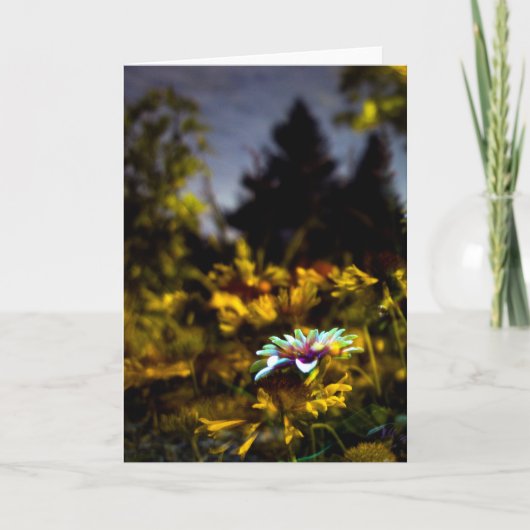 waar de dromen kunnen komen kaart (Voorkant)