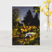 waar de dromen kunnen komen kaart (Gele Bloem)