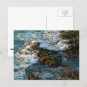 Waar de oceaan de Rocks ontmoet Briefkaart (Voorkant / Achterkant)