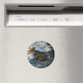 Waar de oceaan de Rocks ontmoet Magneet (Insitu (Vaatwasser))