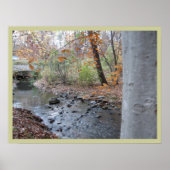 Waar de Red Fern groeit Poster (Voorkant)