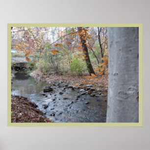 Waar de Red Fern groeit Poster