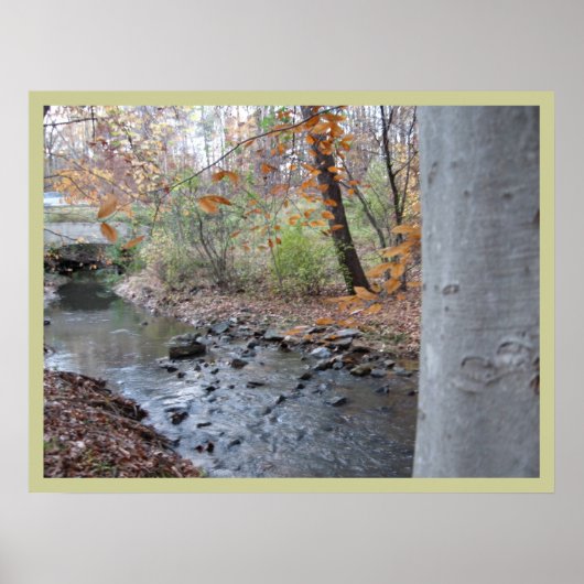 Waar de Red Fern groeit Poster (Voorkant)