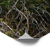 Waar de rotsen het Zee ontmoeten - Bastion Point Poster (Hoek)