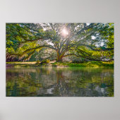 waar de wilde boom groeit poster (Voorkant)