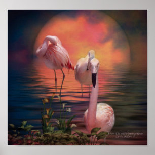 Waar de Wilde Flamingo Poster/Druk Groeit Poster