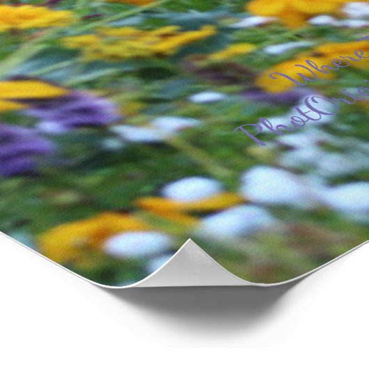 Waar drie tuinen 36x24 Poster ontmoeten (Hoek)