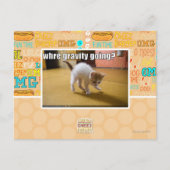 Waar ernst het gaan? briefkaart (Voorkant)