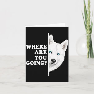 Waar Ga Je Naar Toe Witte Husky Alert Glurend Hond Kaart