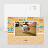 Waar gaat de zwaartekracht heen? briefkaart (Voorkant / Achterkant)