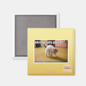 Waar gaat de zwaartekracht heen? magneet (Voorkant / Achterkant)