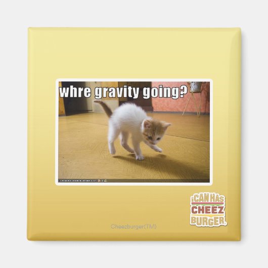 Waar gaat de zwaartekracht heen? magneet (Voorkant)