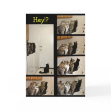 Waar ging dat Kind naar Afstuderen Kaart?