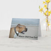 Waar ging je heen? kaart (Gele Bloem)