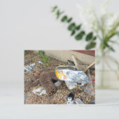 Waar ging Ted mis? Briefkaart (Staand voorkant)