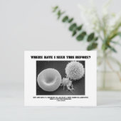 Waar heb ik dit eerder gezien? Bloedcellen Briefkaart (Staand voorkant)