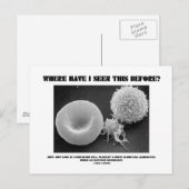 Waar heb ik dit eerder gezien? Bloedcellen Briefkaart (Voorkant / Achterkant)