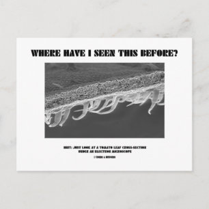 Waar heb ik dit eerder gezien? Tomato Leaf Briefkaart