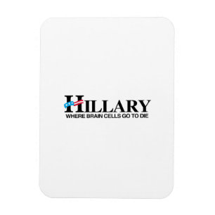 Waar hersencellen afsterven magneet