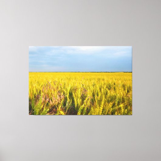 Waar het graan danst met de wind - Wilde natuur Canvas Afdruk (Voorkant)