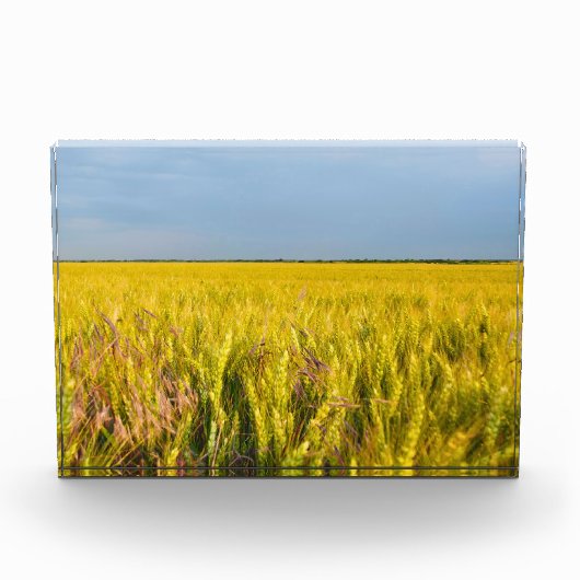 Waar het graan danst met de wind - Wilde natuur Fotoblokken (Voorkant)