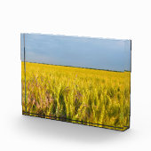 Waar het graan danst met de wind - Wilde natuur Fotoblokken (Rechts)