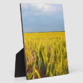 Waar het graan danst met de wind - Wilde natuur Fotoplaat (Zijkant)