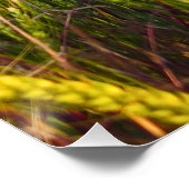 Waar het graan danst met de wind - Wilde natuur Perfect Poster (Hoek)