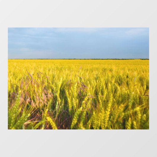 Waar het graan danst met de wind - Wilde natuur Raamsticker (Vel)