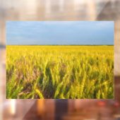 Waar het graan danst met de wind - Wilde natuur Raamsticker (Vel 2)