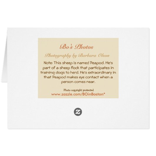 Waar in de kudde is Ewe geweest? (Achterkant Horizontaal)