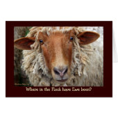 Waar in de kudde is Ewe geweest? (Voorkant Horizontaal)