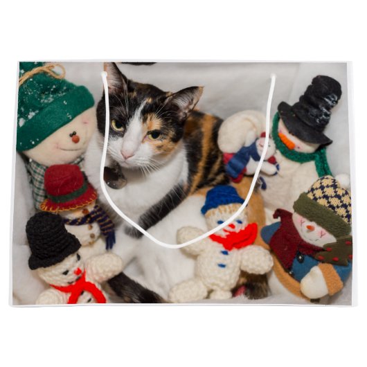 Waar is de kat? groot cadeauzakje (Voorkant)