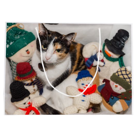 Waar is de kat? groot cadeauzakje (Achterkant)