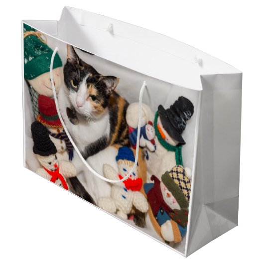 Waar is de kat? groot cadeauzakje (Achterkant Gekanteld)