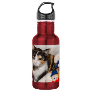 Waar is de kat roestvrijstalen waterfles