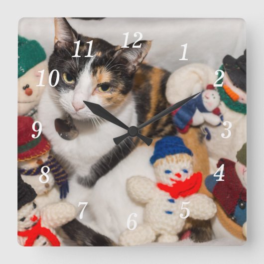 Waar is de kattenwandklok vierkante klok (Voorkant)