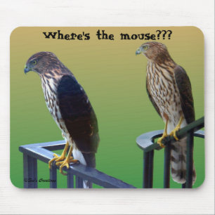 "Waar is de muis??" Hawks Muismat