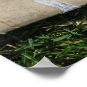 Waar is de rest? poster (Hoek)