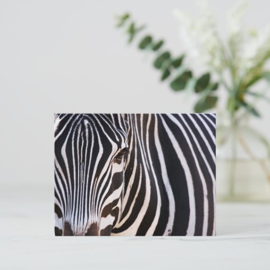 Waar is de Zebra? Briefkaart (Staand voorkant)