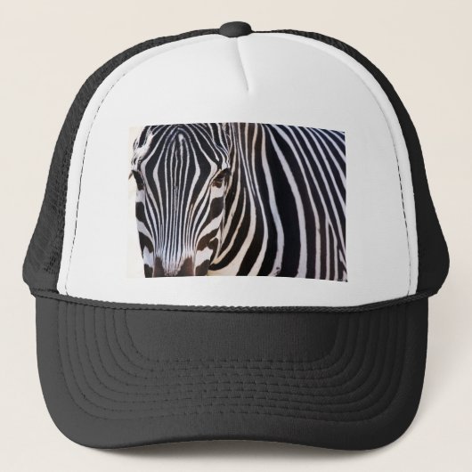 Waar is de Zebra? Trucker Pet (Voorkant)