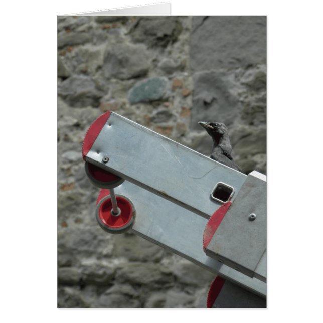 Waar is het vuur? (Voorkant)