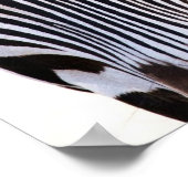 Waar is het Zebra Poster? Poster (Hoek)